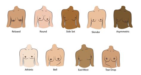 teen perky breasts|The 12 Different Breast Shapes and Types